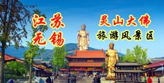 欧美日B高潮视频免费看江苏无锡灵山大佛旅游风景区